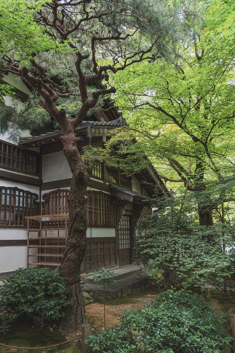 Zen Garden Landscape