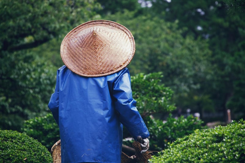 Plant Maintenance